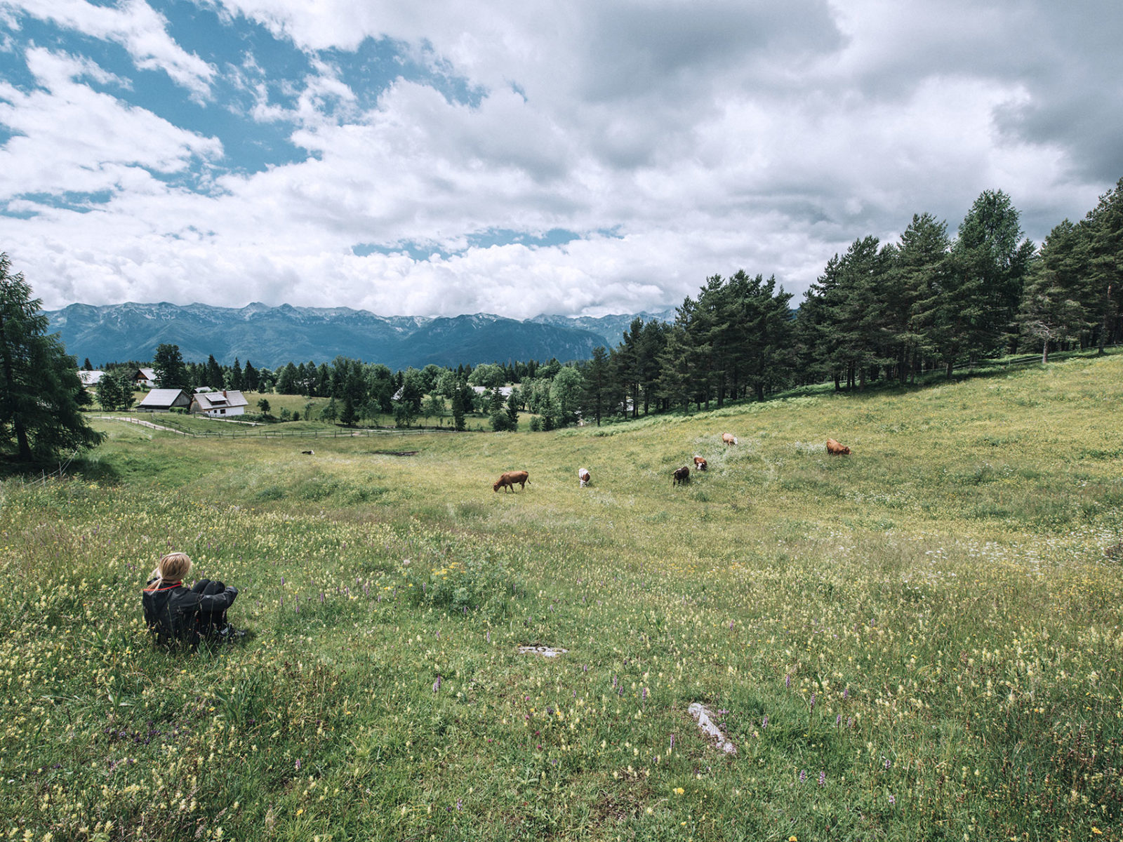 Salmon: Restaurant WordPress Theme