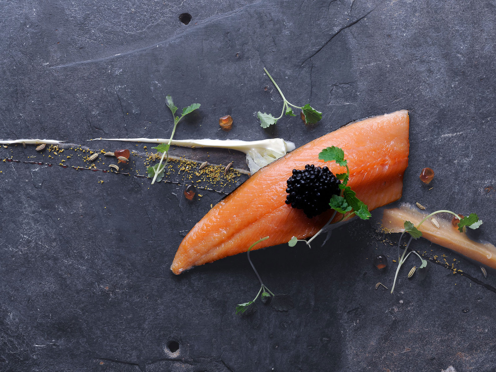 Snug Harbor Fish Company - Salmon