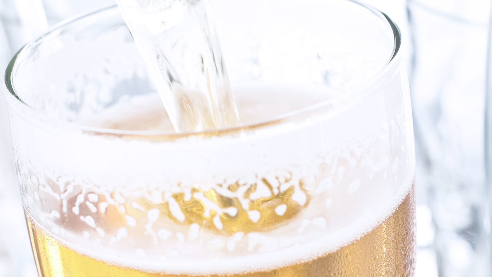 Salmon Restaurant Beers