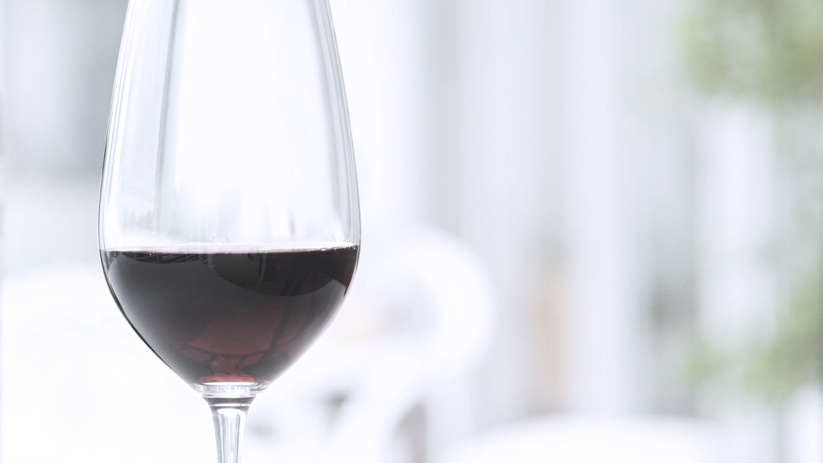 Salmon Restaurant Red Wines