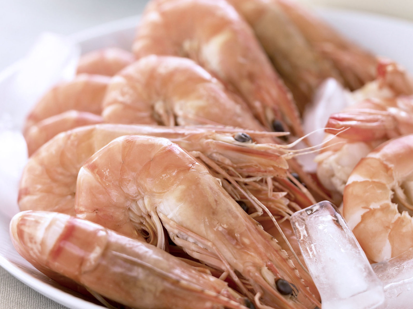 Seafood Prawns