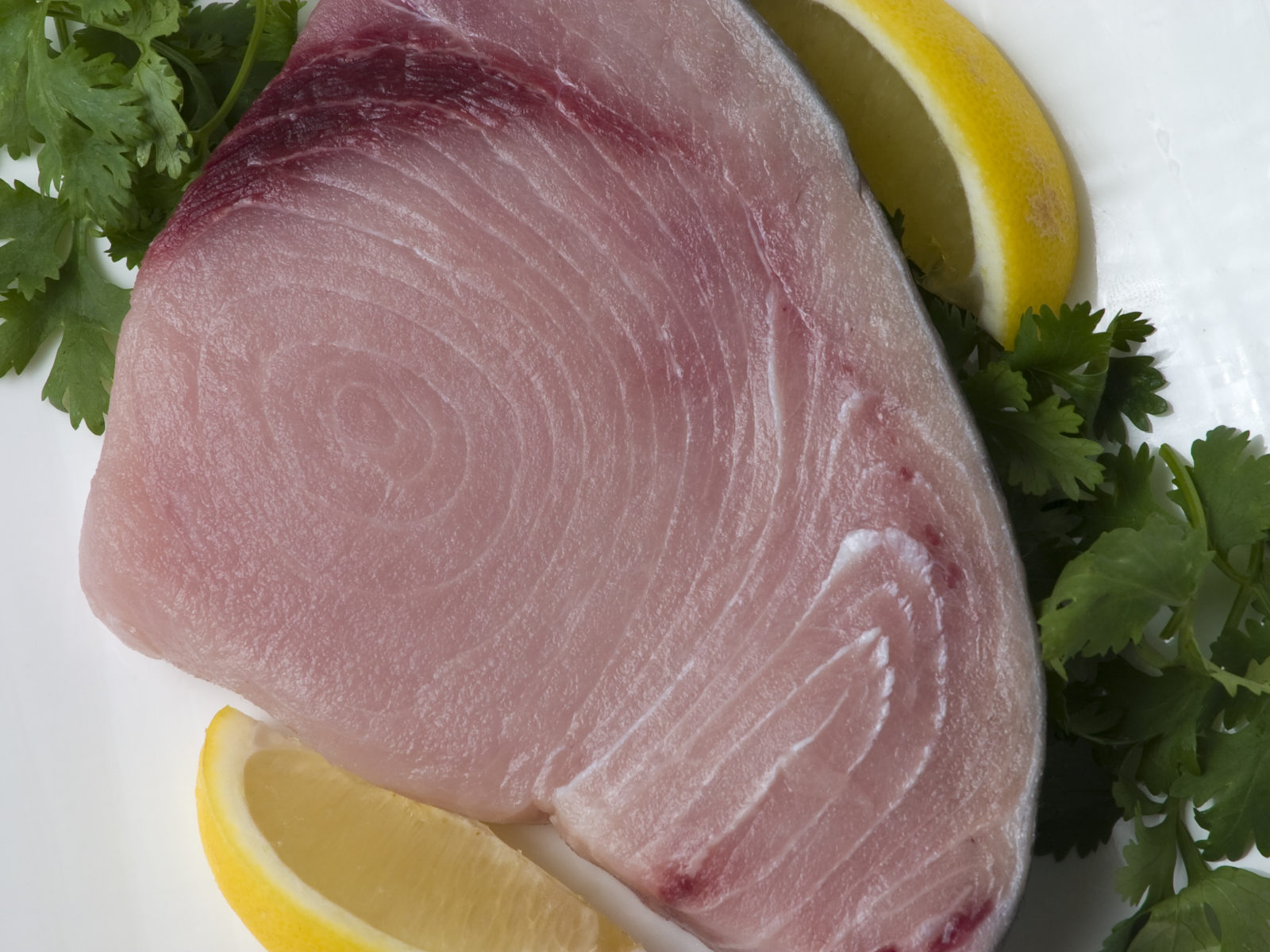 Snug Harbor Fish Company - Swordfish steak