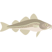 Snug Harbor Fish Company – Duxbury, Massachusetts