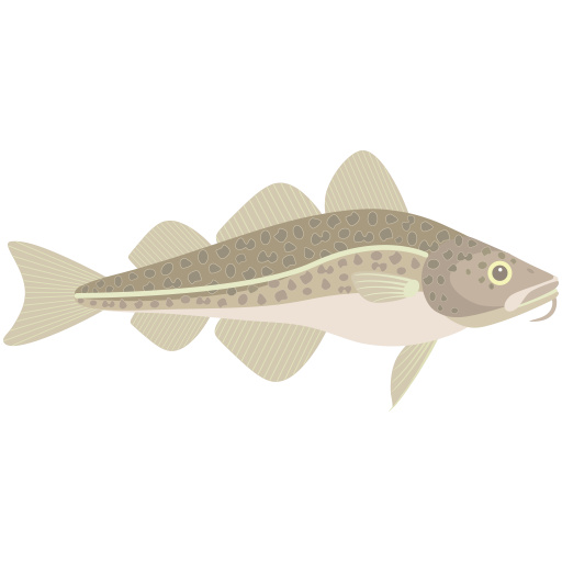 Snug Harbor Fish Company