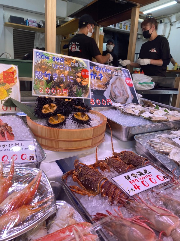 “Sea” the World: Japan